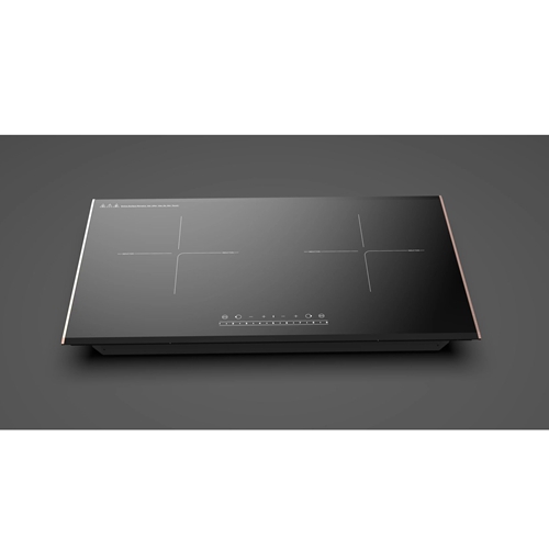JGCCX2-10IH Built in Induction cooker